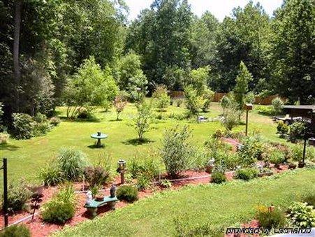 Rock Laurel Bed And Breakfast Candler Удобства фото
