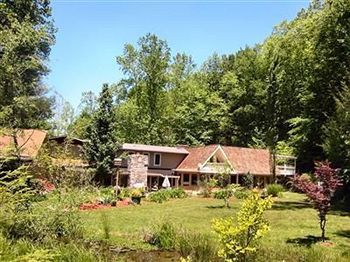 Rock Laurel Bed And Breakfast Candler Экстерьер фото